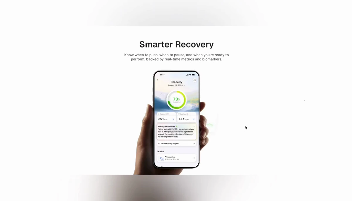Interactive Animated Section